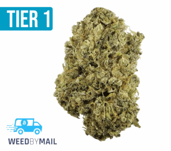 Tier 1 Durban Poison (36.88%THC)(Sativa)