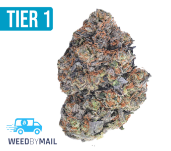 Tier 1 Platinum Cookies (36.92%THC)(Hybrid)