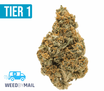 Tier 1 Sour Diesel (36.91%THC)(Sativa)