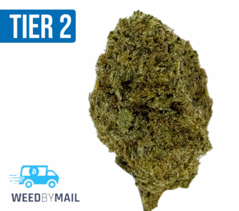 Tier 2 Lemon Pie (32.97% THC) (Sativa)