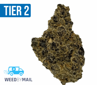 Tier 2 Durban Cookies (32.83% THC)(Sativa)