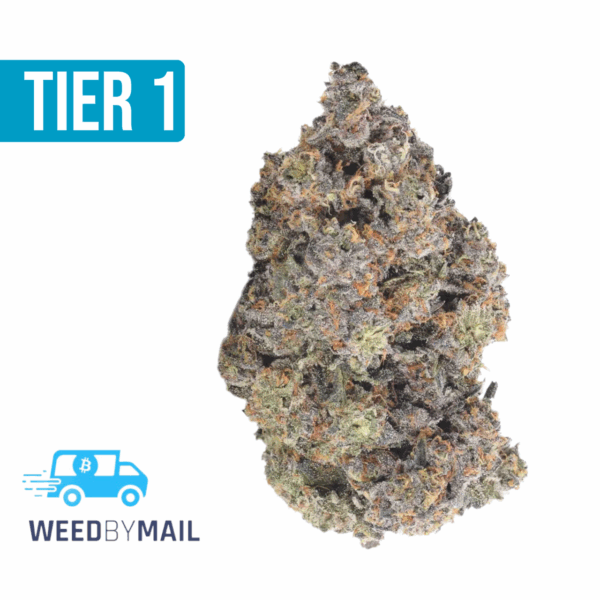 Tier 1 Acapulco Gold (36.95%THC)(Sativa)