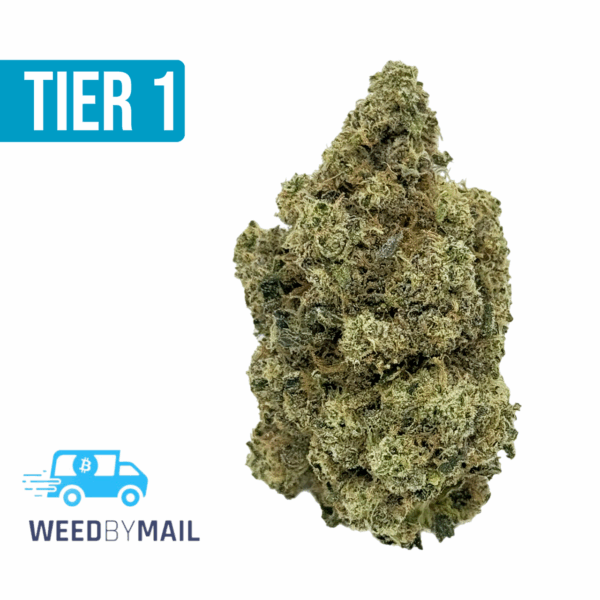 Tier 1 King Louis Cookies (35.81% THC)(Indica)