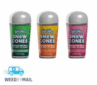Big Chief – Snow Cones Pre-Roll 5pk (2.5G) (1 Option)