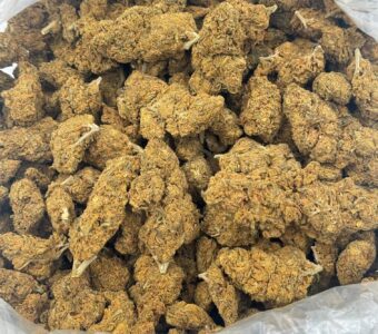 $250 LB Special “Remedy”