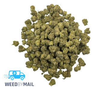 Tier 2 (Small Buds) Purple Haze (31.88% THC)(Sativa)