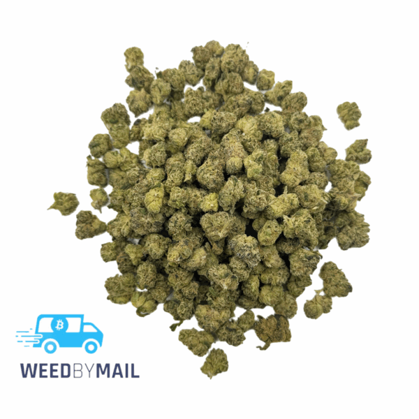 Tier 2 (Small Buds) Purple Haze (31.88% THC)(Sativa)