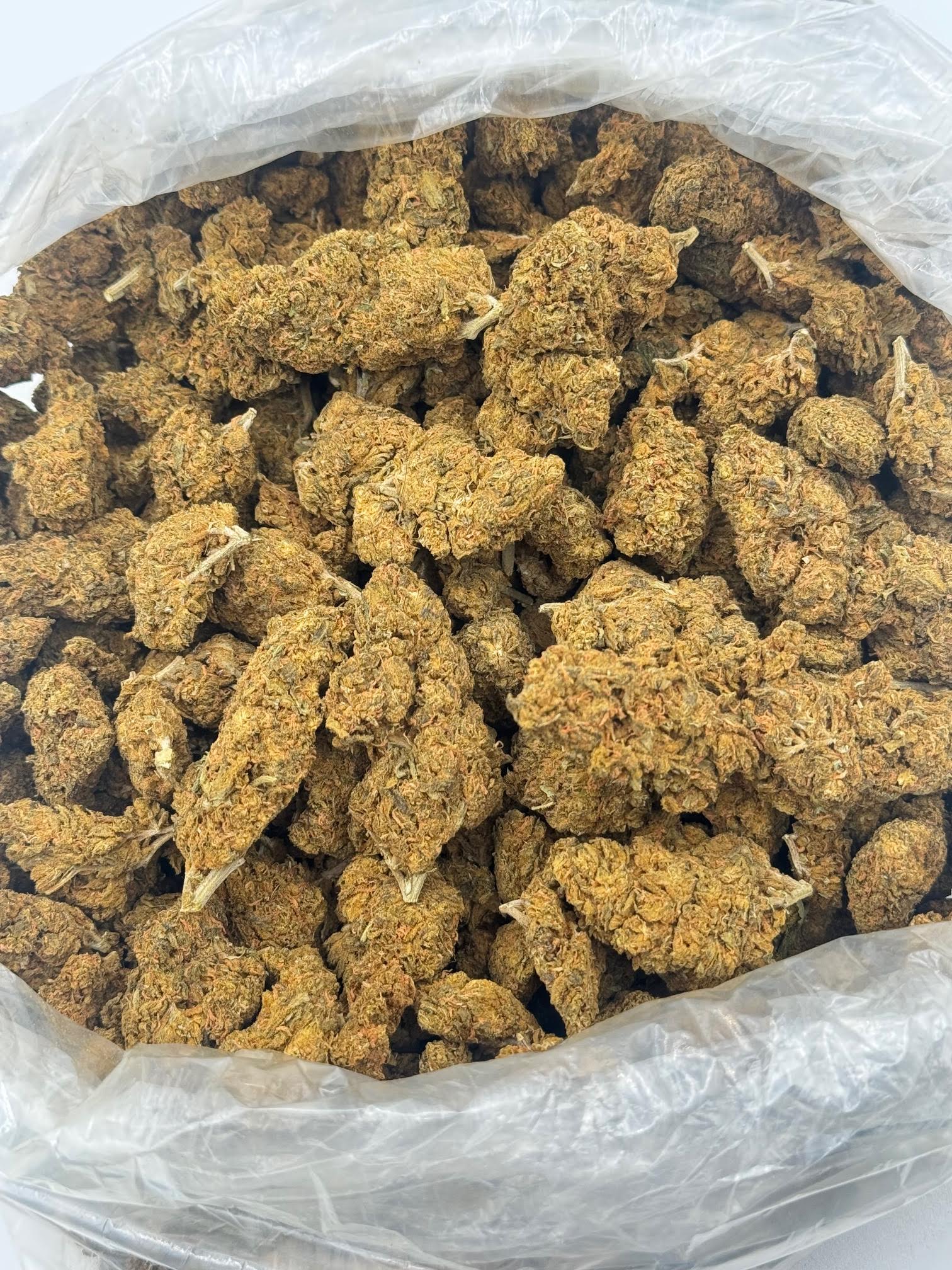 $250 LB Special "Remedy"