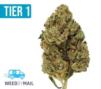 Tier 1 Marathon OG (35.91% THC)(Indica)