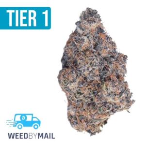 Tier 1 Double OG Chem (35.96% THC)(Indica)