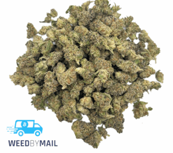 Tier 2 (Small Buds) OG Kush (31.77% THC)(Hybrid)