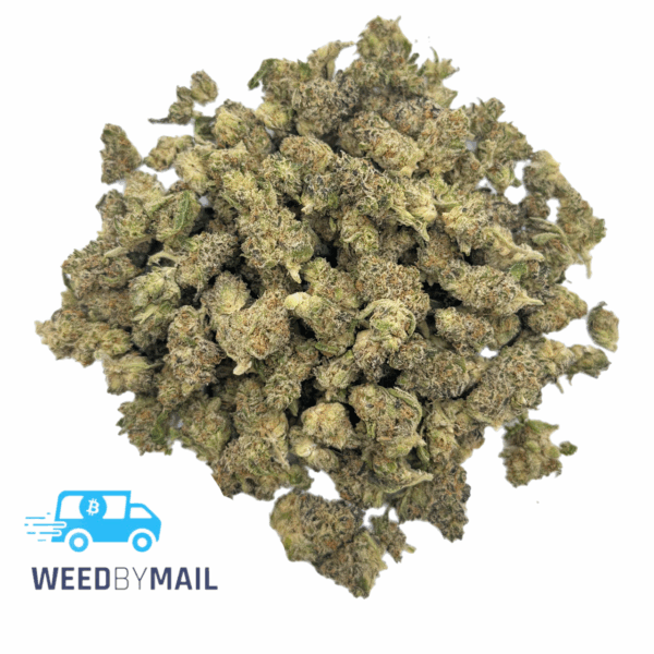 Tier 2 (Small Buds) Ghost OG (31.67% THC)(Hybrid)