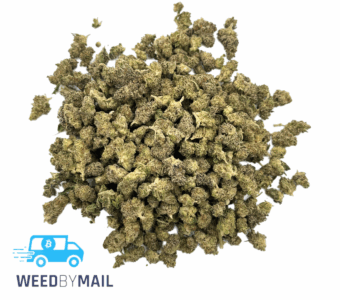 Tier 2 (Small Buds) OG Kush (31.77% THC)(Hybrid)