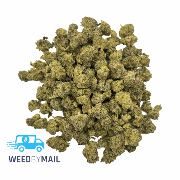 Tier 2 (Small Buds) Gold Dawg (31.89% THC)(Sativa)