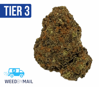 Tier 3 GMO Cookies (28.91% THC)(Hybrid)