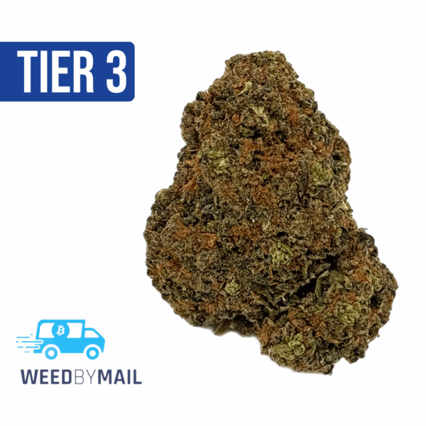 Tier 3 GMO Cookies (28.91% THC)(Hybrid)