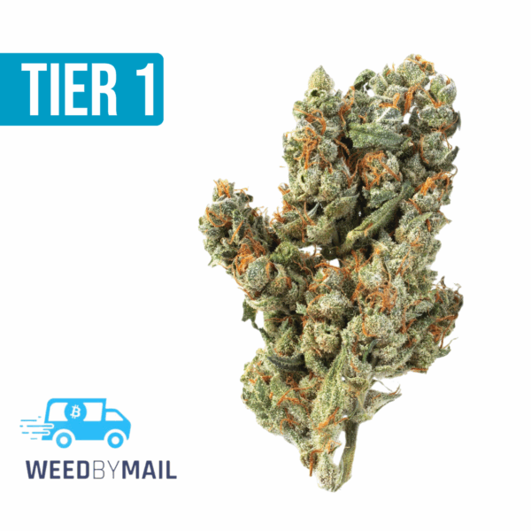 Tier 1 Titan OG (35.89% THC)(Indica)