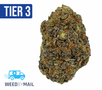 Tier 3 Pink Runtz (28.87% THC)(Hybrid)