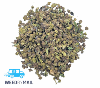 Tier 2 (Micro Nugs) Grape Ape (29.84% THC)(Indica)