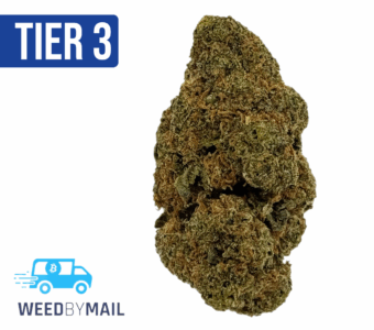 Tier 3 Bob Saget (28.86% THC)(Sativa)