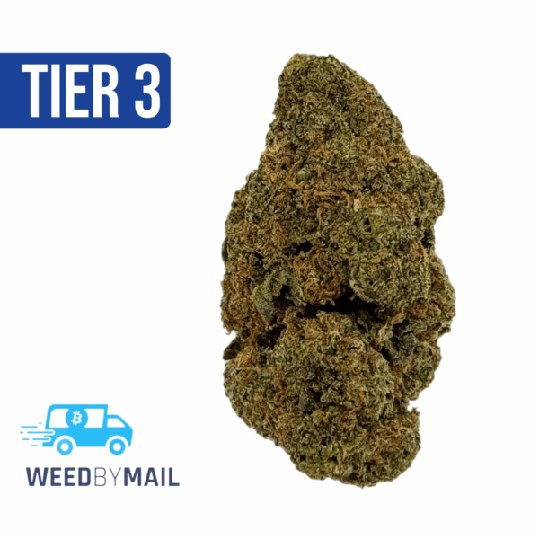 Tier 3 Bob Saget (28.86% THC)(Sativa)