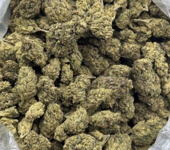 $350 LB Special “OG Kush”