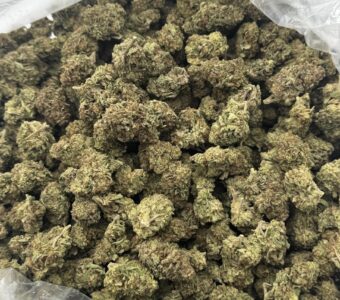 $650 LB Special “Glueberry”
