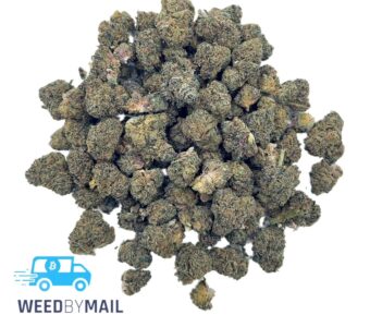 Tier 2 (Small Buds) Purple Afghani (31.78% THC)(Indica)