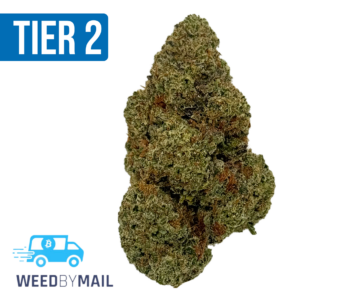 Tier 2 The Hog (32.85% THC)(Indica)