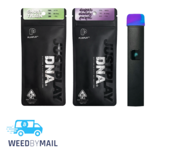 PlugPlay – 1G Disposable Pen (2 Options)