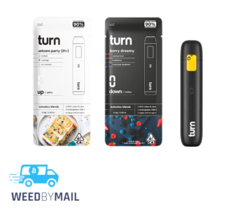 Turn – 2G Disposable Pen (6 Options)