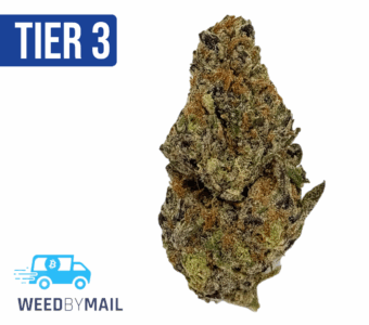 Tier 3 Gods Breath (28.89% THC) (Indica)
