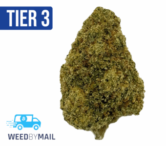 Tier 3 Fruit Punch (28.91% THC)(Sativa)