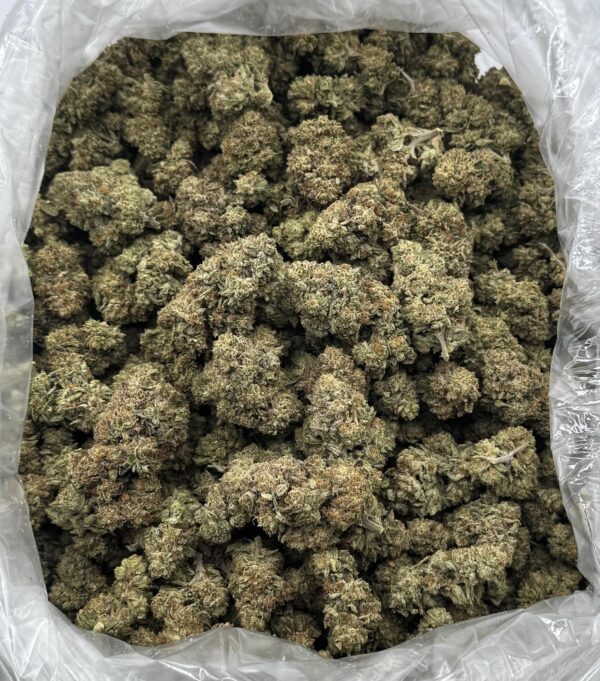 $600 LB Special "London Pound Cake"