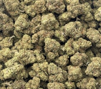 $550 LB Special “Rainbow Cookies”