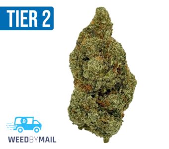 Tier 2 Galactica OG (32.89% THC)(Indica)