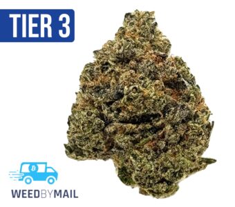 Tier 3 Northern Lights (28.96% THC) (Indica)