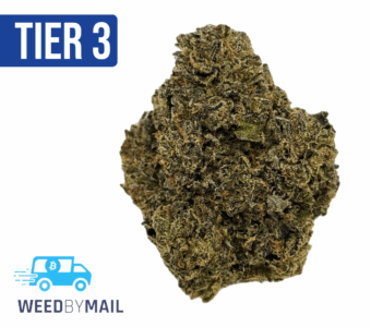 Tier 3 Bubblegum Gelato (28.94% THC) (Indica)