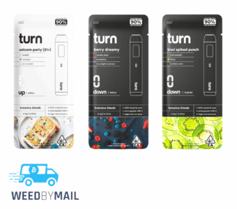 Turn – 2G Disposable Pen (8 Options)