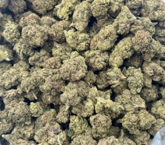 $600 LB Special “Kings Kush”
