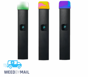 PlugPlay – 1G Disposable Pen (1 Option)