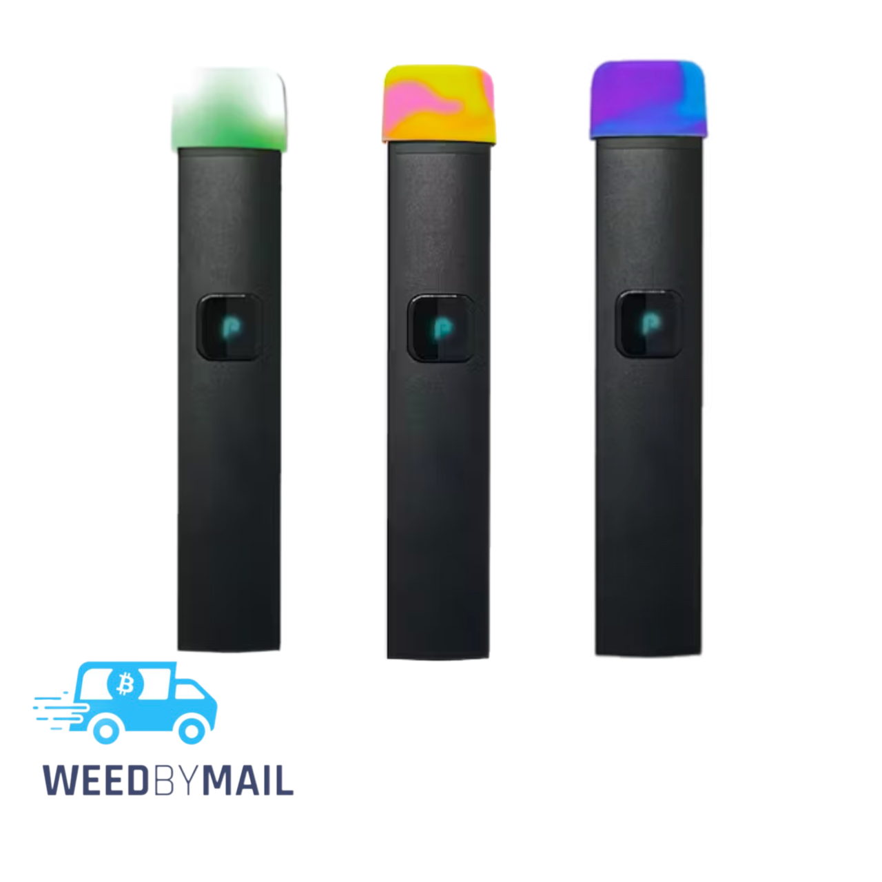 PlugPlay - 1G Disposable Pen (1 Option)