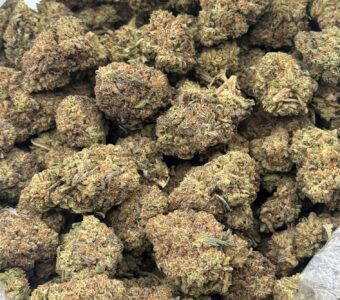 $750 LB Special “831 OG”