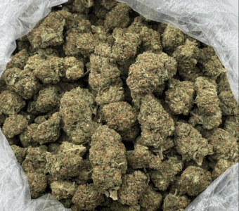 $600 LB Special “Alien Kush”