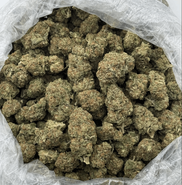 $600 LB Special "Alien Kush"