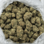 $600 LB Special "Alien Kush"