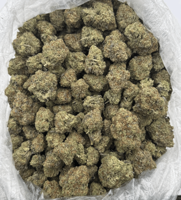 $750 LB Special "Star Dust OG"