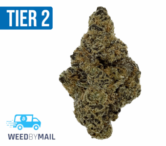 Tier 2 Louis XII OG (32.83% THC)(Hybrid)