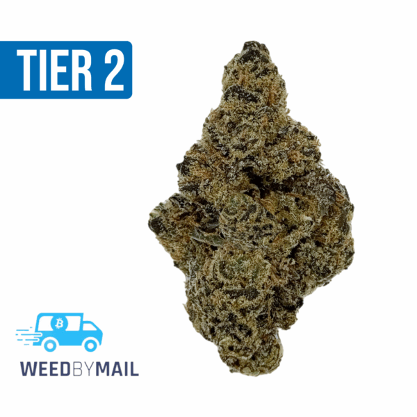 Tier 2 Louis XII OG (32.83% THC)(Hybrid)