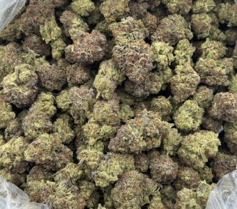 $750 LB Special “Magic Melon”